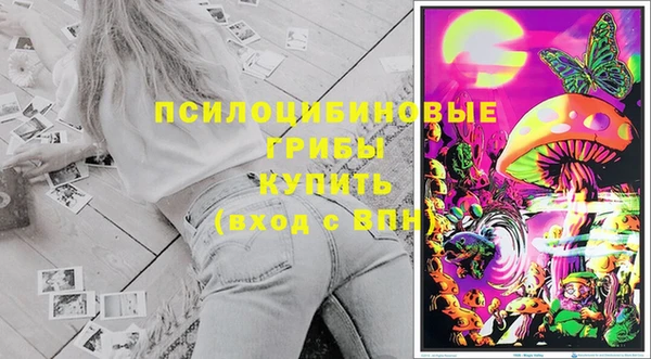 СК Вязники