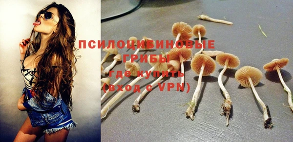 СК Вязники