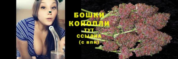 СК Вязники
